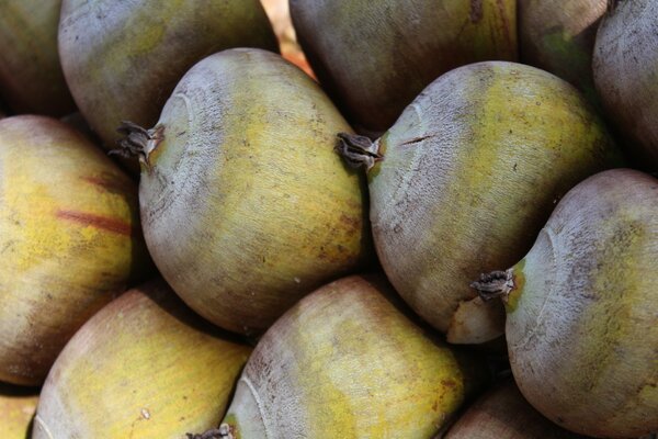 Varietà di frutta e verdura in natura