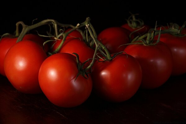 Dark photo of vegetables with red tomatoes