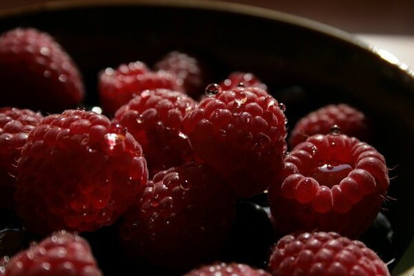 Fresh raspberries on a dark plate