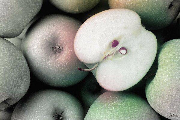 Half of a green ripe apple