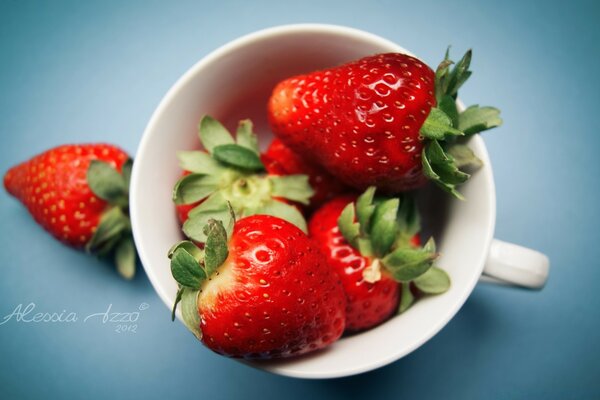 Fragola in tazza su sfondo blu