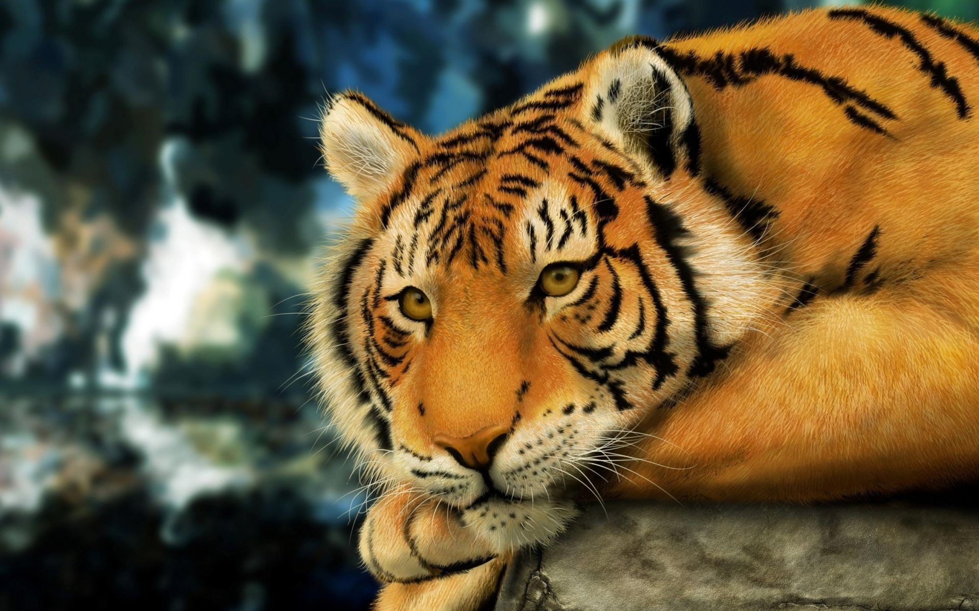 tigers tiger wildlife cat mammal animal predator zoo stripe danger hunter nature wild jungle portrait aggression fur