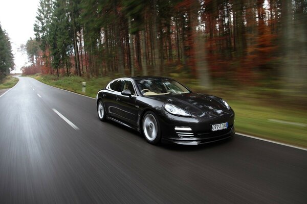 Bande de route de forêt de voiture noire de vitesse