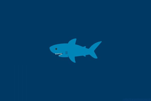 White shark on a blue background