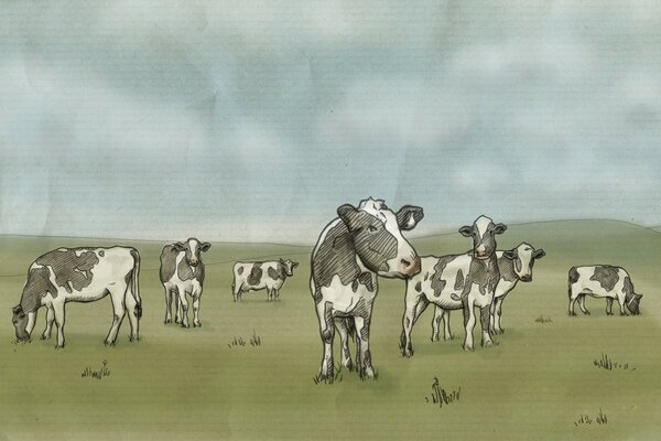 Dibujo una manada de vacas en un campo