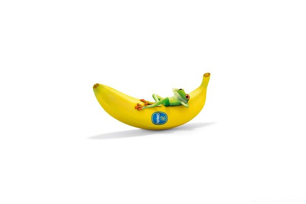 Rana sdraiata su una banana gialla