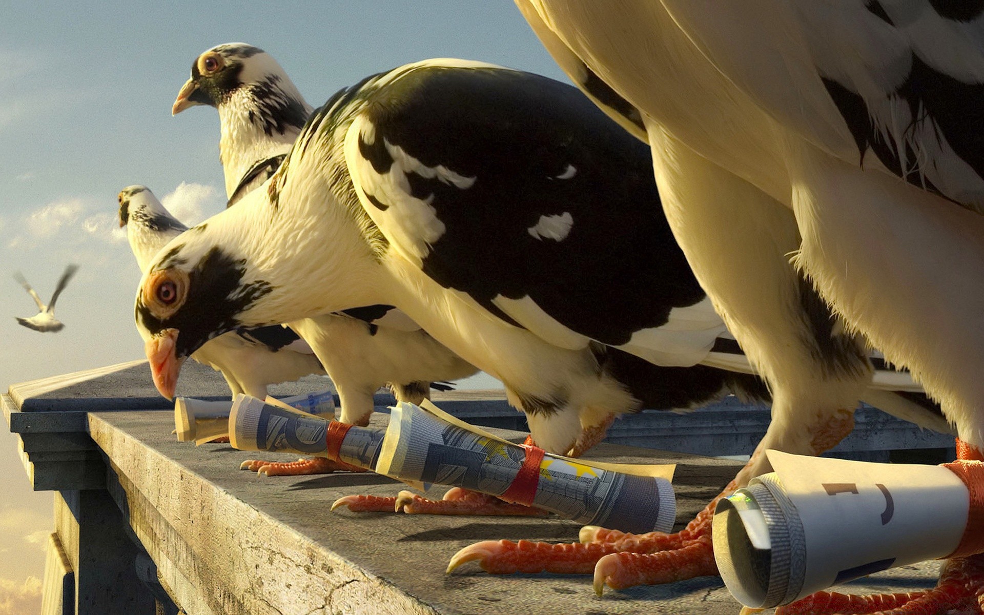 tiere vogel raptor natur tierwelt im freien adler tier