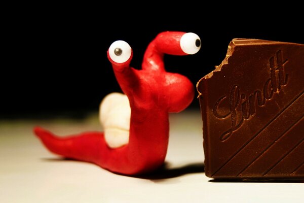 Funny snail eats chocolate