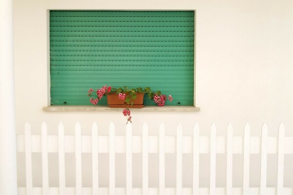 Desktop design in white and green tones