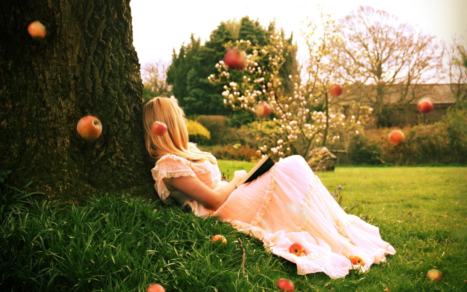 altre ragazze erba estate all aperto natura campo fiore prato fieno ragazza tempo libero albero parco da solo donna sole mela bella stagione bel tempo