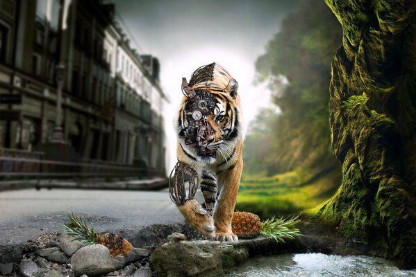 Image d un tigre fantastique dans la nature