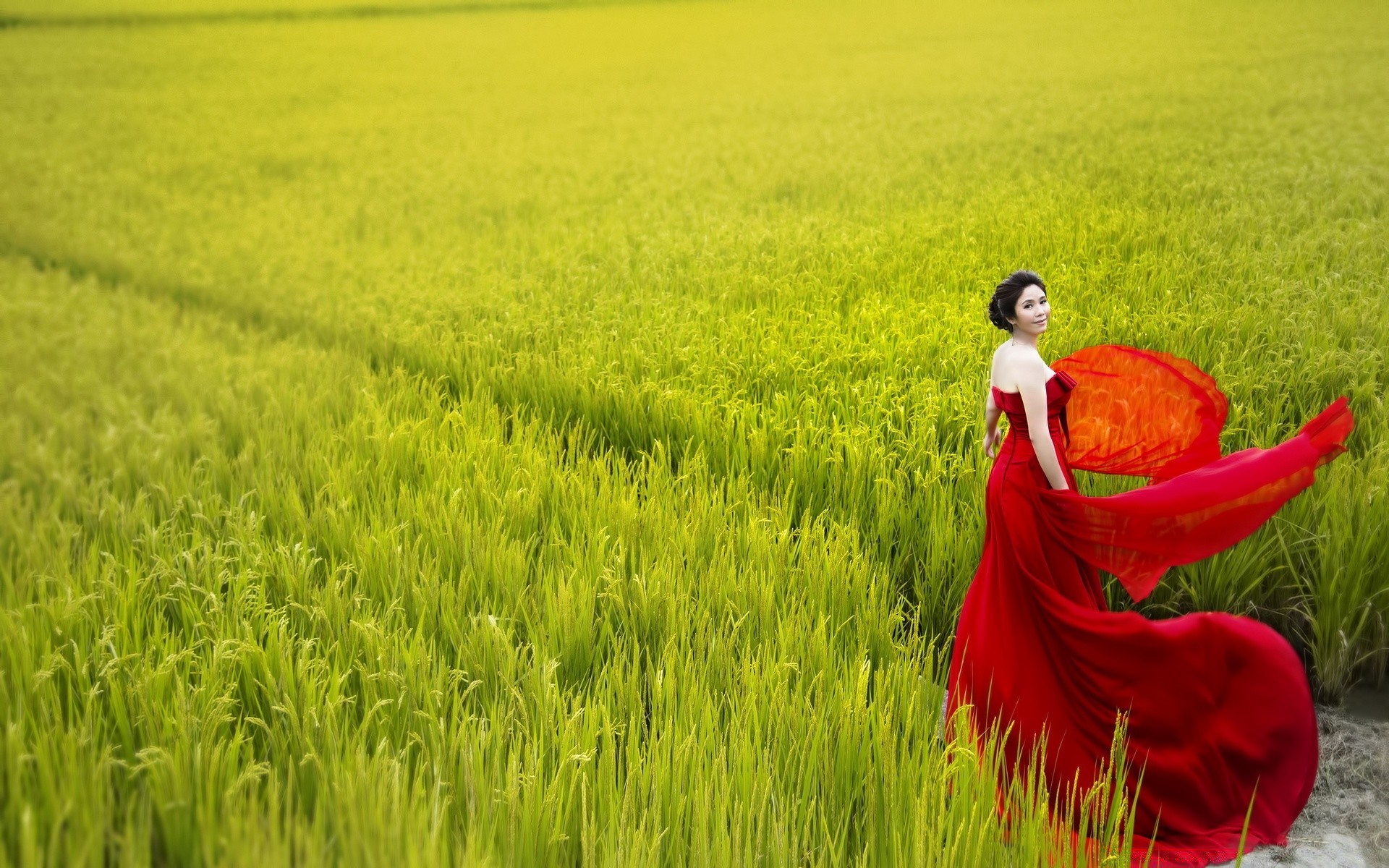 andere mädchen feld flocken bauernhof des ländlichen gras reis heuernte ernte natur landschaft landwirtschaft wachstum weide landschaft weizen sommer im freien bebautes land paddy flora