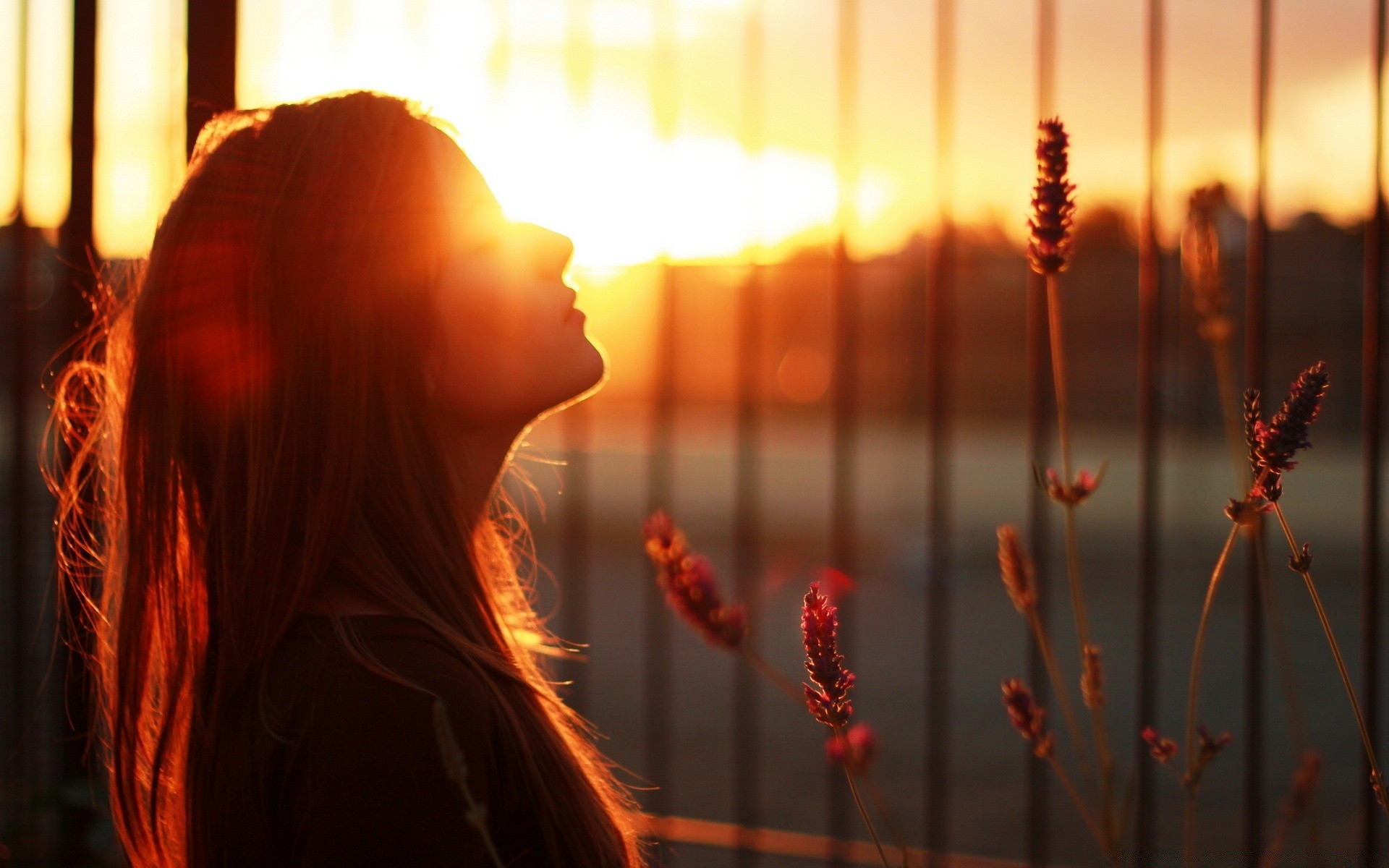 autres filles flamme lumière musique flou