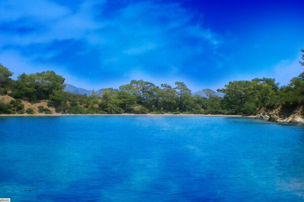 Tropical landscape: sea, forest and sky