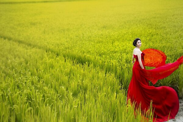 Mädchen im roten Kleid auf dem Feld