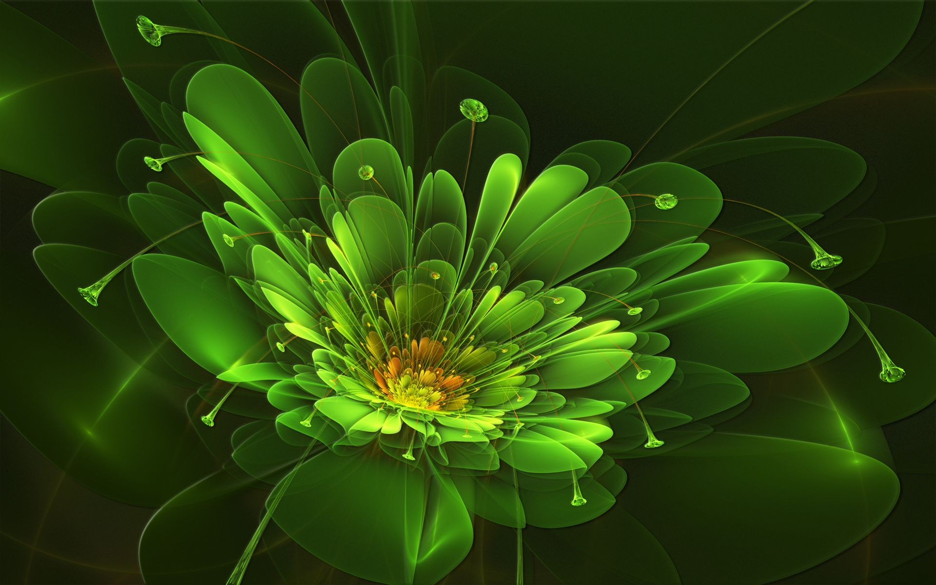 neon leaf flora nature color clover desktop garden abstract decoration