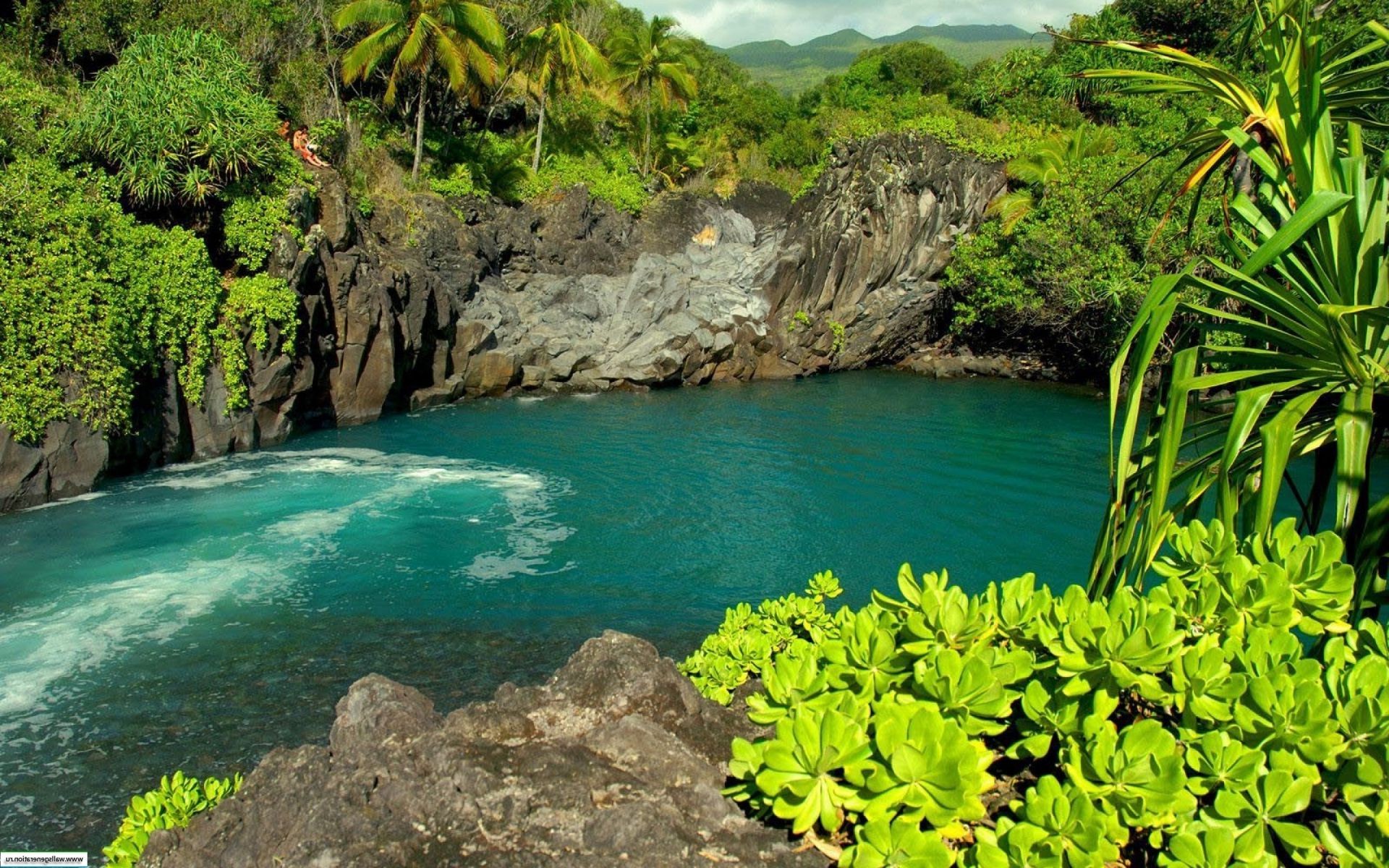 rivers ponds and streams water tropical nature travel summer tree beautiful paradise flora landscape leaf vacation outdoors rock exotic tourism turquoise island beach