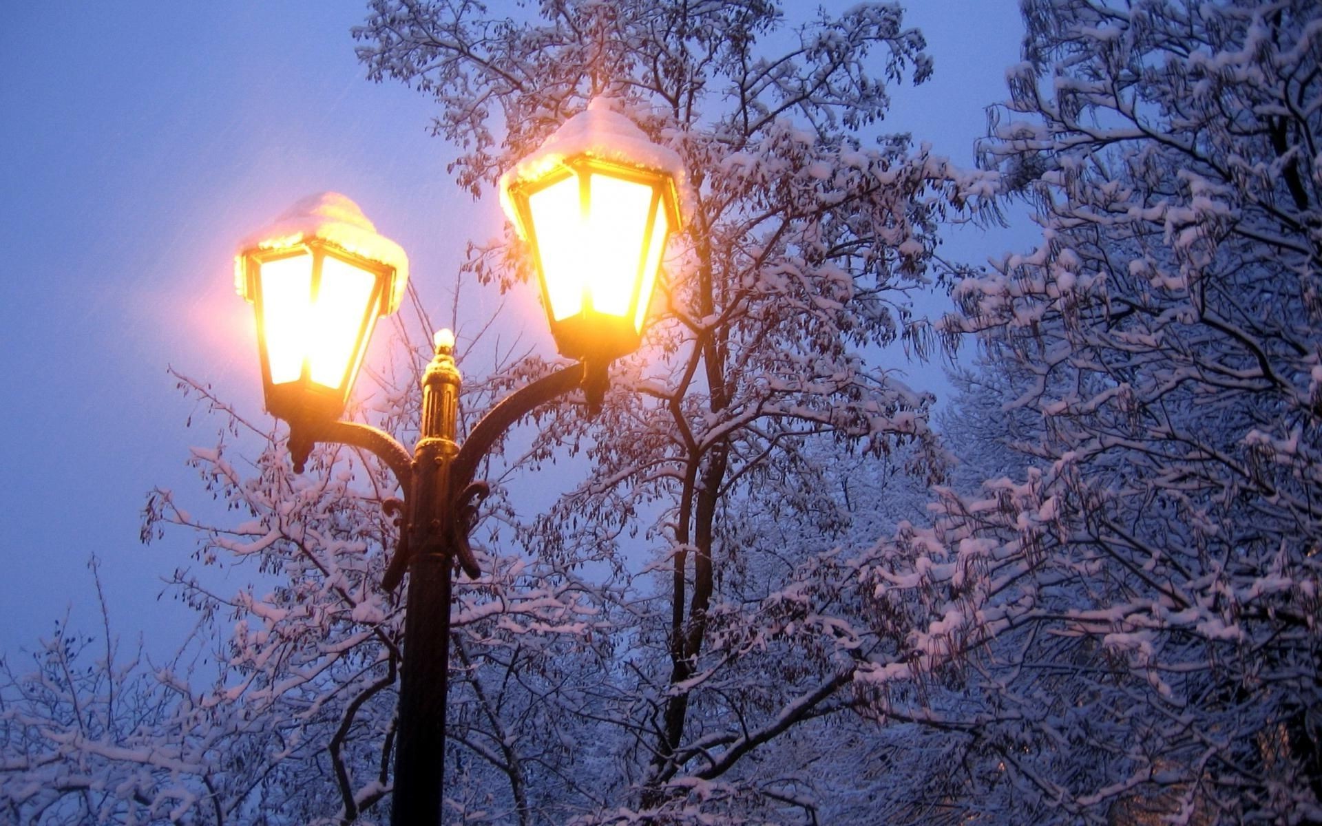 invierno lámpara linterna brillante luz lámpara iluminado temporada nieve electricidad árbol vela naturaleza luminiscencia rama noche sol cielo