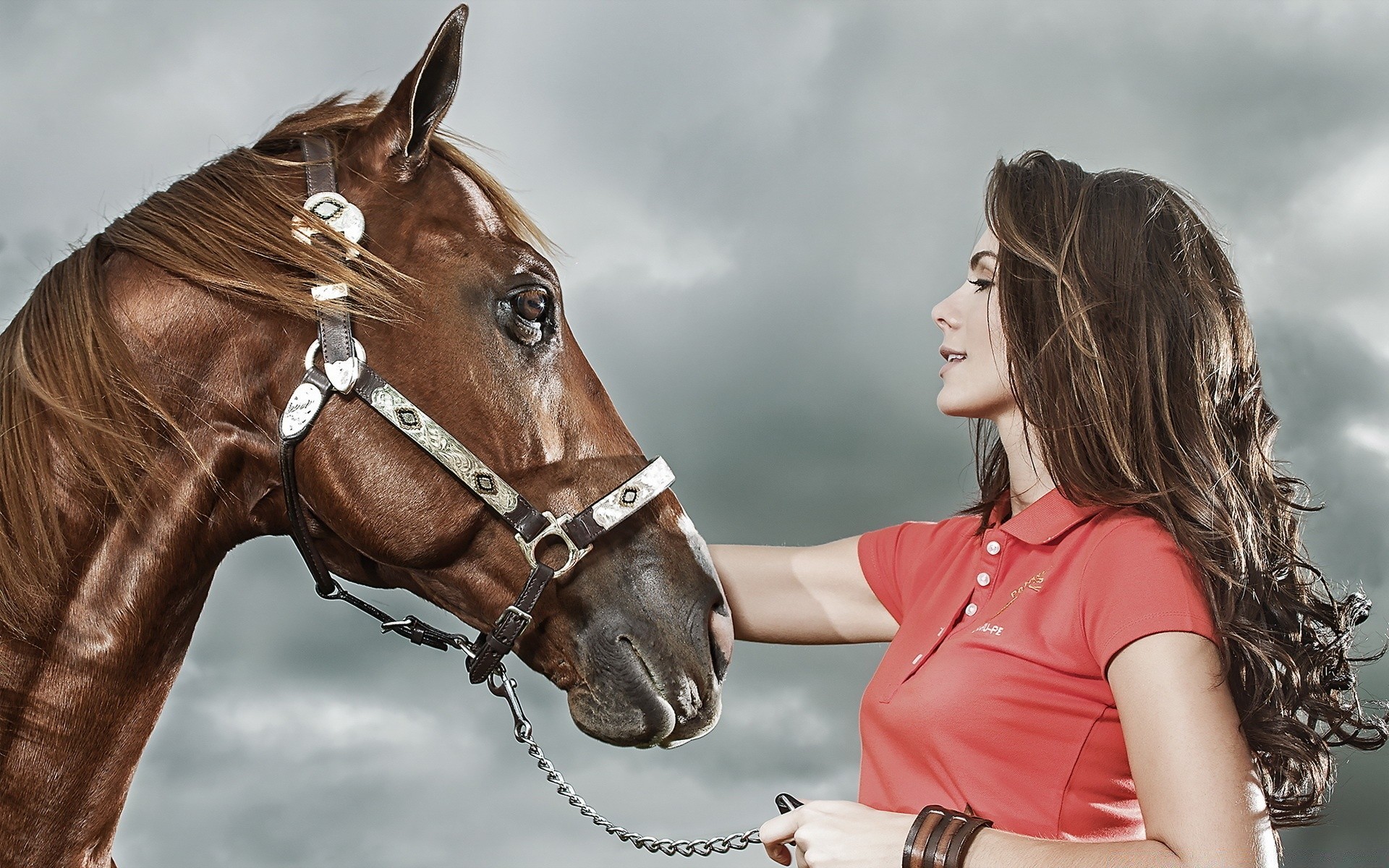 inne dziewczyny portret kobieta jeden moda dorosły ssak dziewczyna