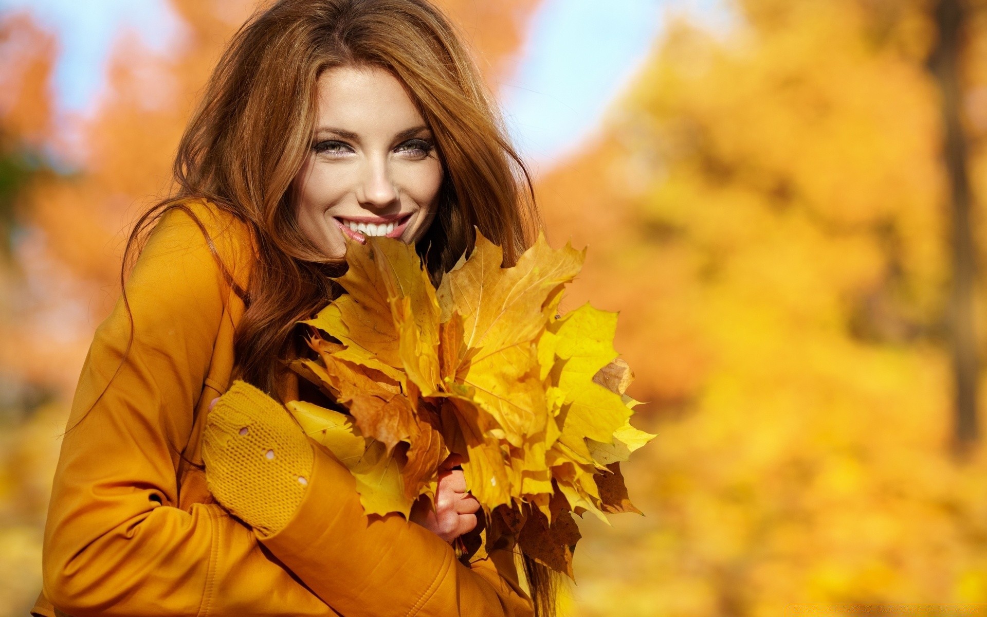 andere mädchen herbst natur frau ahorn im freien blatt schön mädchen park porträt eine saison hübsch mode