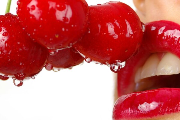 Juicy ripe moist cherries