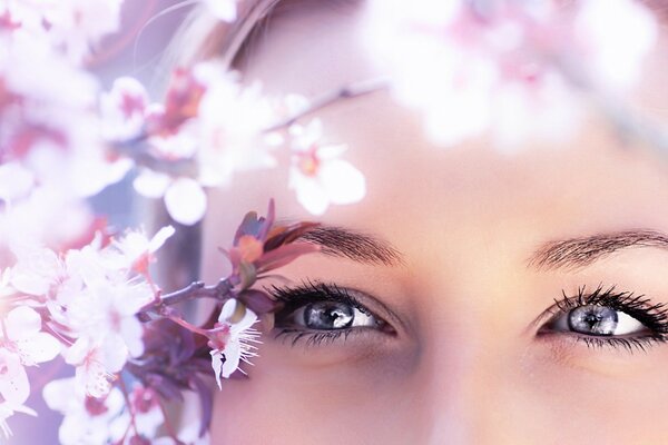 Olhos azuis felizes perto de um galho com flores cor-de-rosa