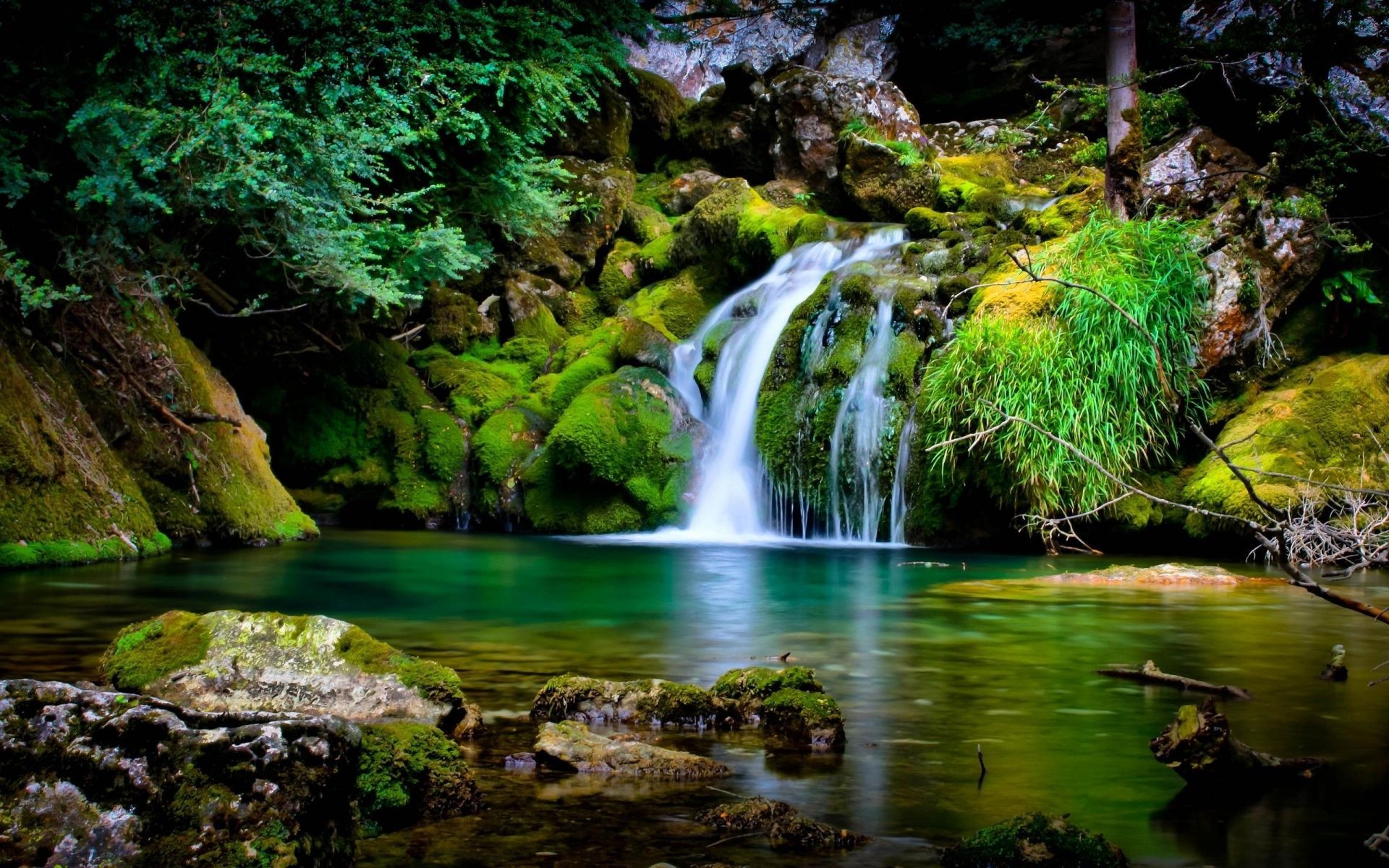 cascate acqua cascata natura fiume flusso legno all aperto flusso foglia viaggi roccia creek traffico paesaggio cascata splash muschio autunno bagnato