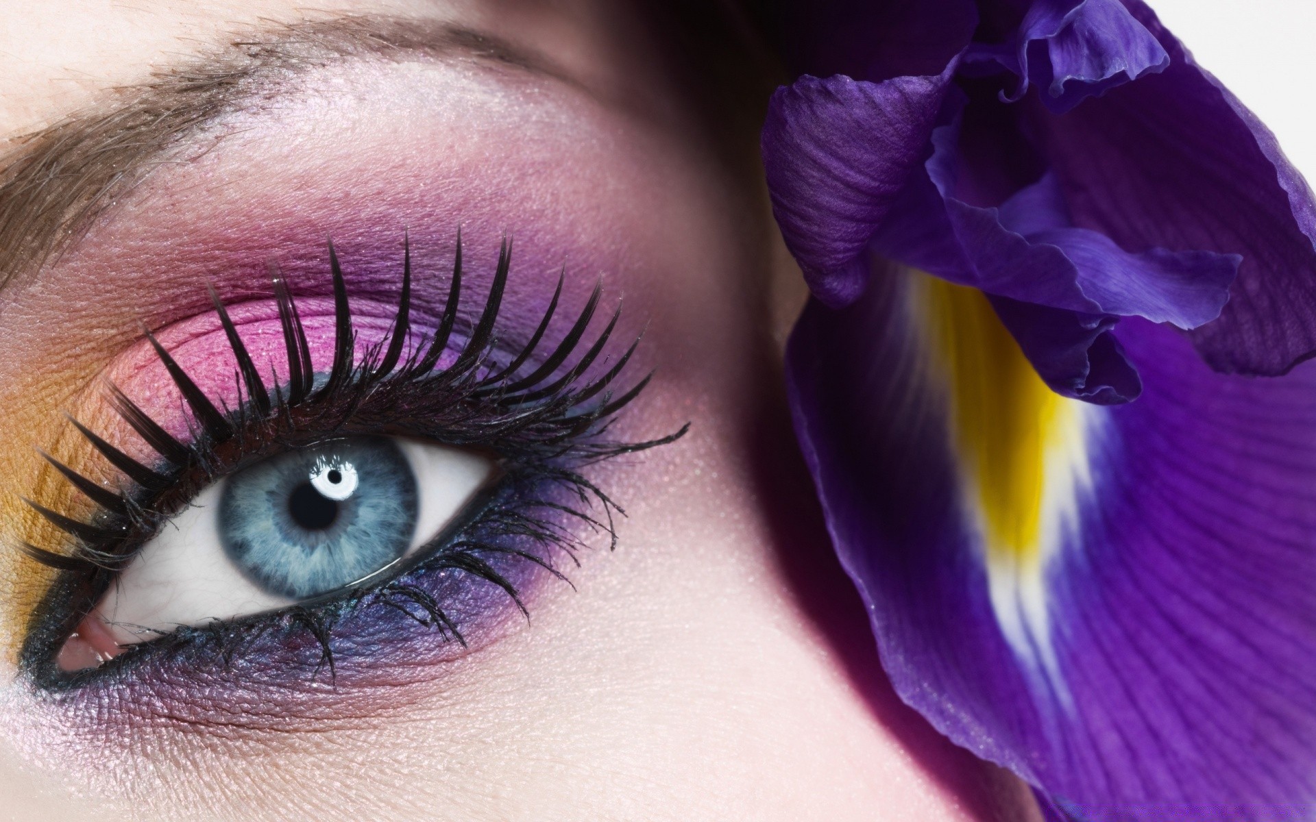 gesicht und lächeln schön frau augapfel wimpern farbe mädchen augenbrauen vision vision glamour spektakel lidschatten mascara hübsch mode schließen porträt augenlid natur auge