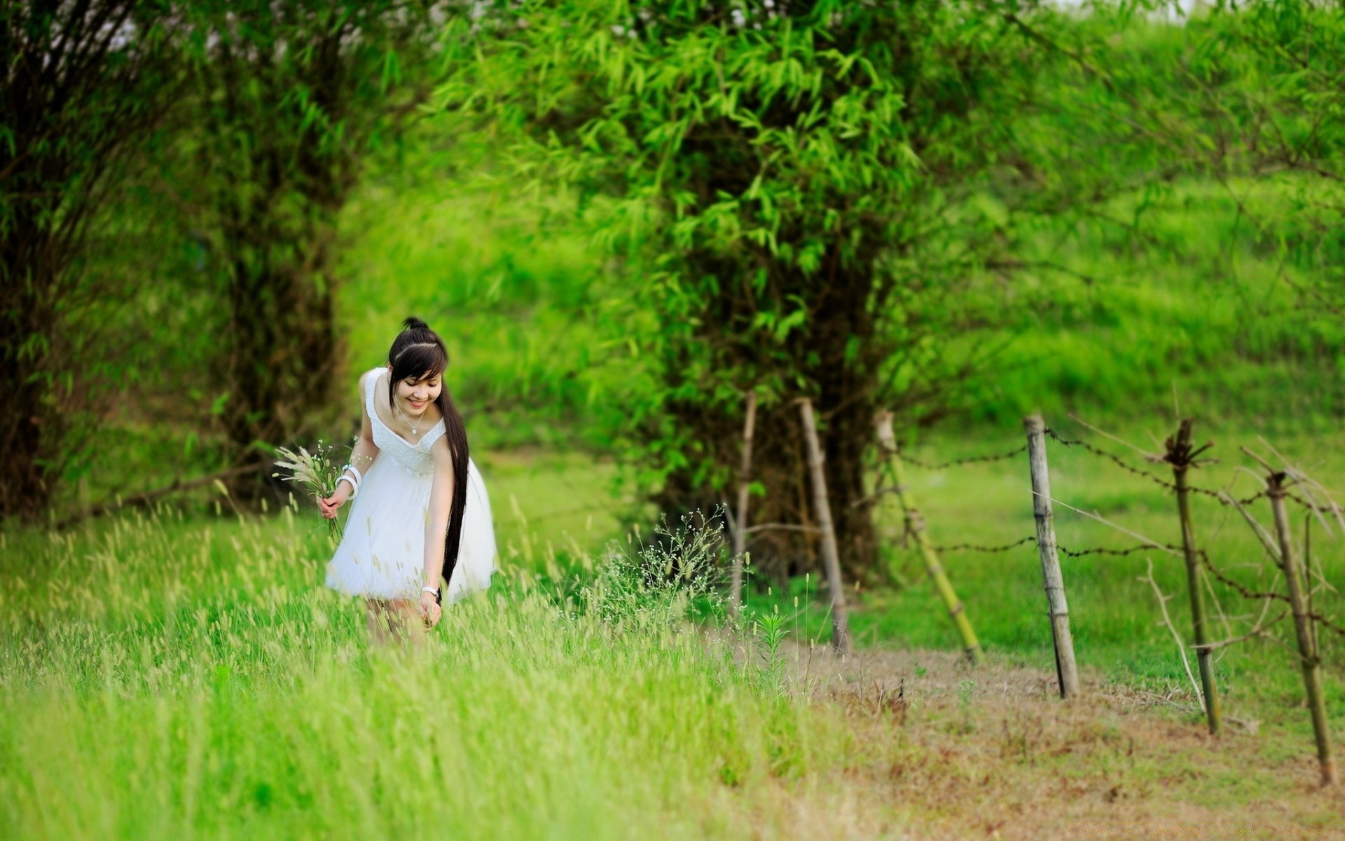 autre fille herbe nature à l extérieur été fille bois parc paysage