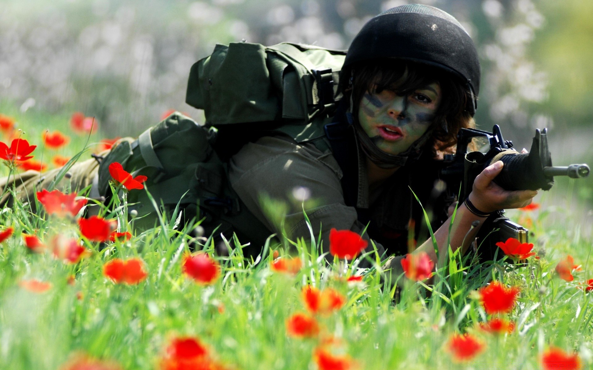 the other girls grass outdoors flower army nature summer soldier hayfield poppy war field military