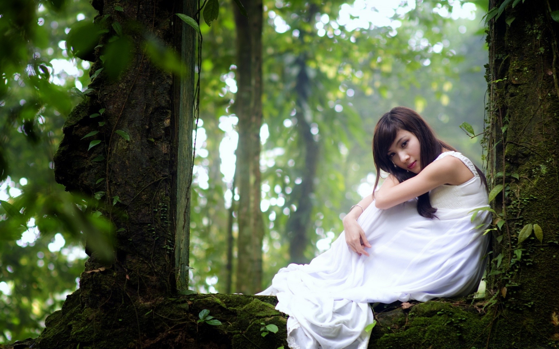 otras chicas naturaleza madera chica árbol parque verano al aire libre mujer hoja vestido modelo hermosa hierba