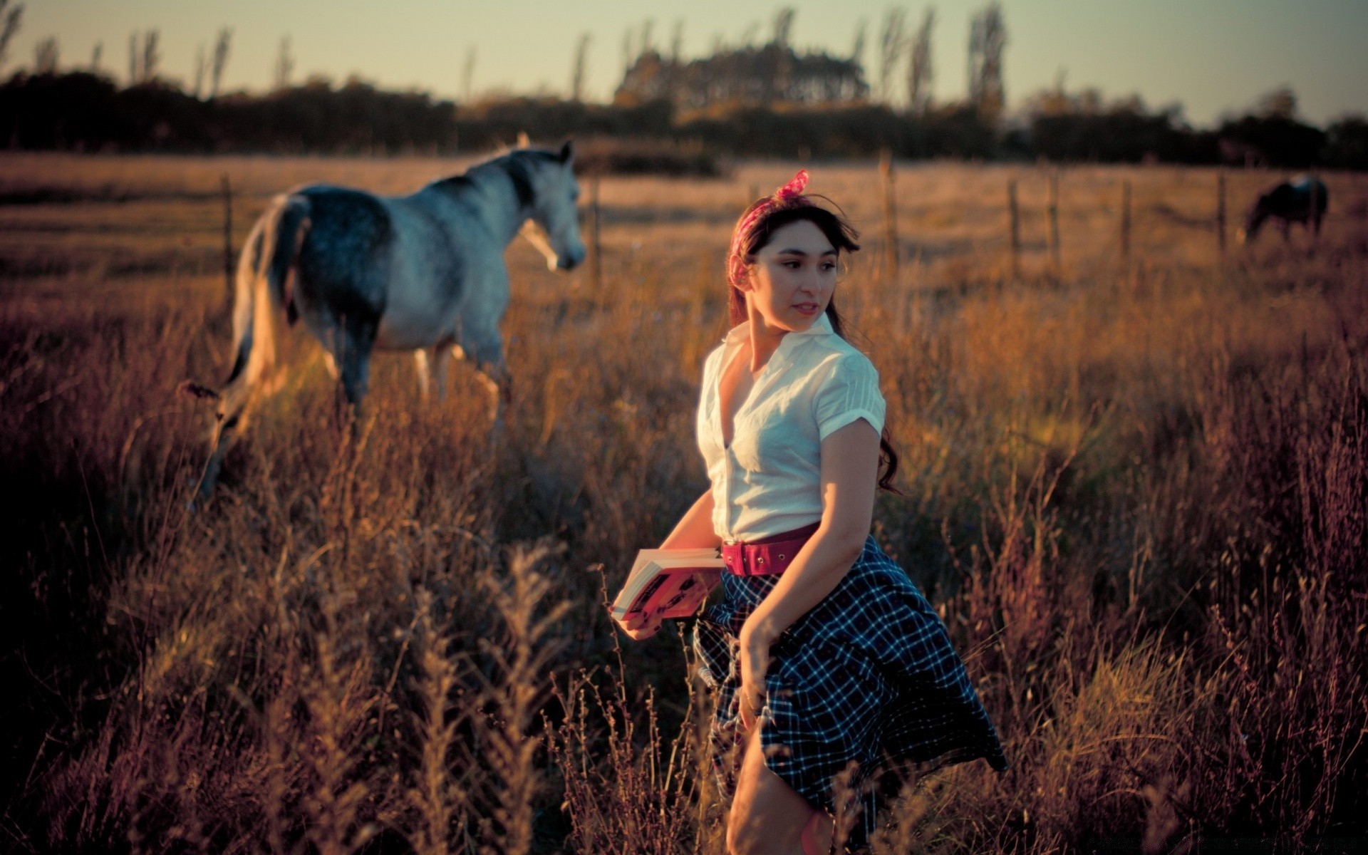 autre fille fille coucher de soleil à l extérieur un champ nature adulte loisirs herbe femme automne foin mode de vie ciel soir