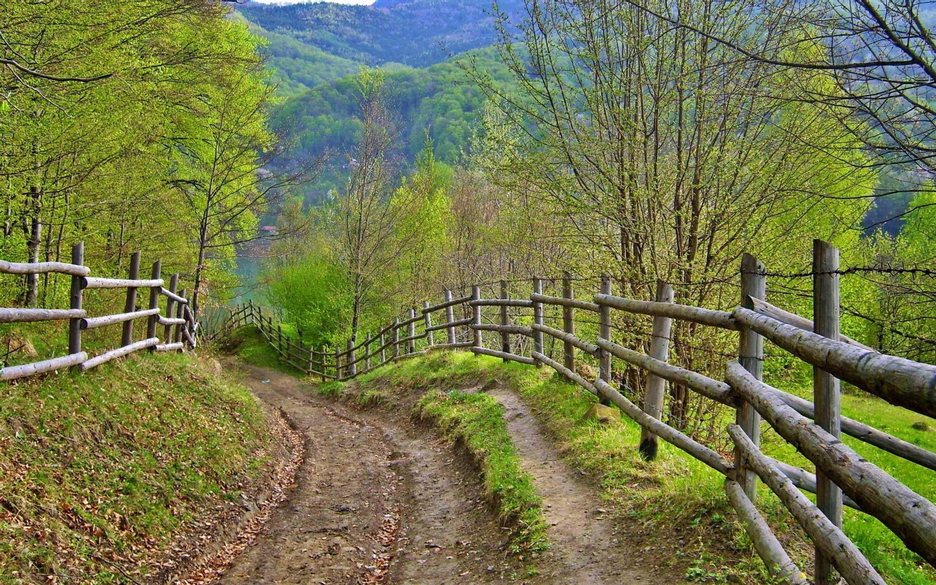 carretera valla madera paisaje naturaleza árbol rural guía al aire libre hoja campo país pintoresco viajes hierba otoño verano temporada granja