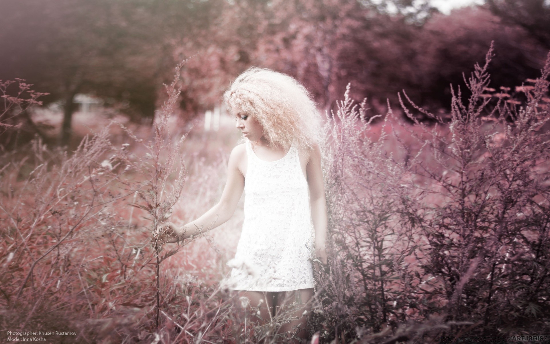 the other girls winter snow tree cold nature wood outdoors frost landscape one portrait fall park season weather