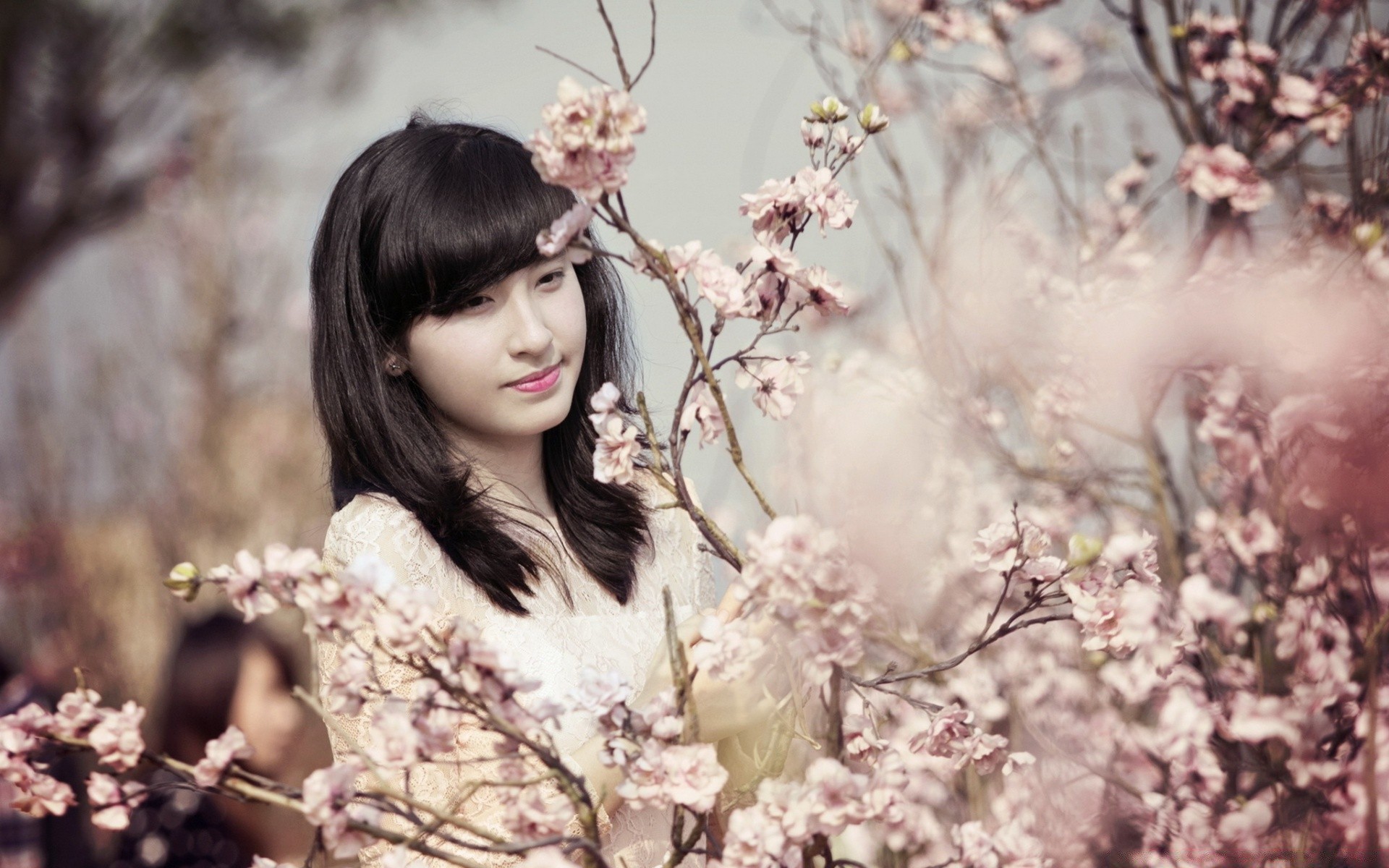 otras chicas naturaleza flor árbol hermosa al aire libre retrato invierno mujer moda chica cereza flora