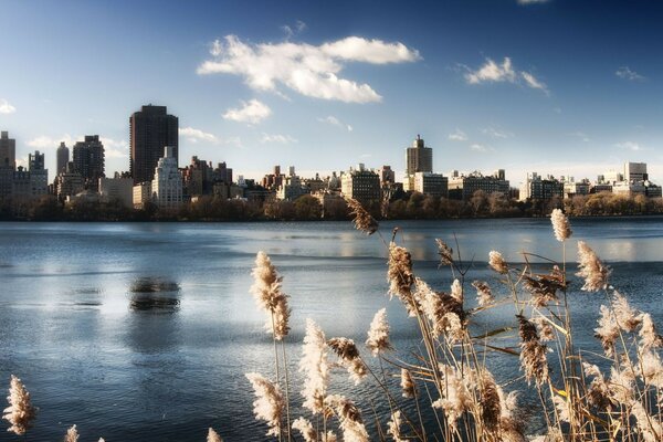 河对岸的纽约市美景