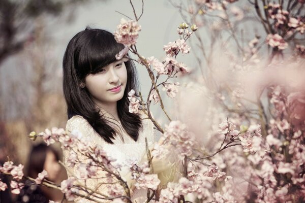 Young girl on the background of sakura