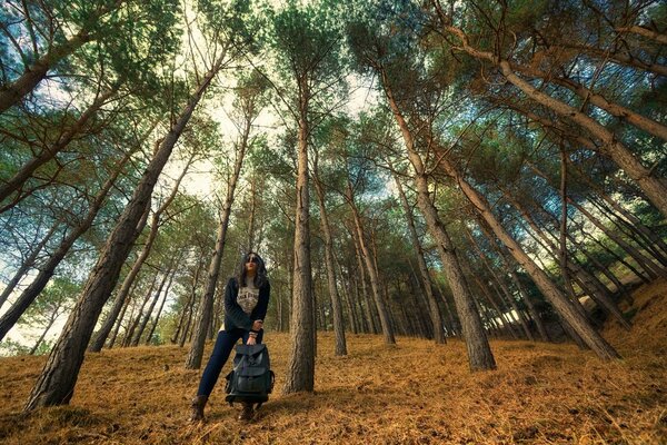 A girl traveler on the background of the forest