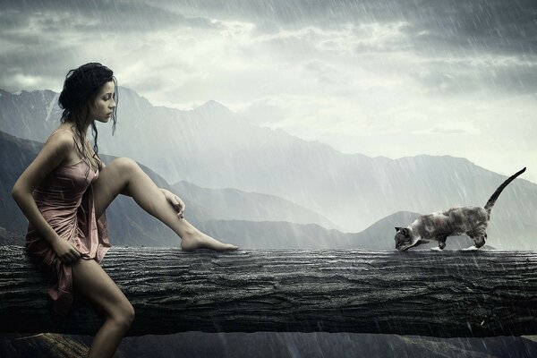 Encuentro de una niña y un gato en un tronco en un clima lluvioso