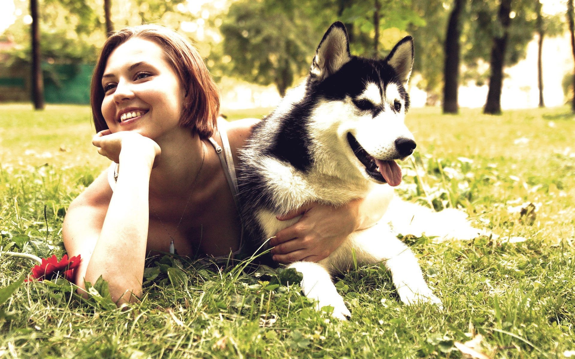 con gli animali carino erba cane ritratto da solo all aperto giovane natura divertimento estate canino mammifero