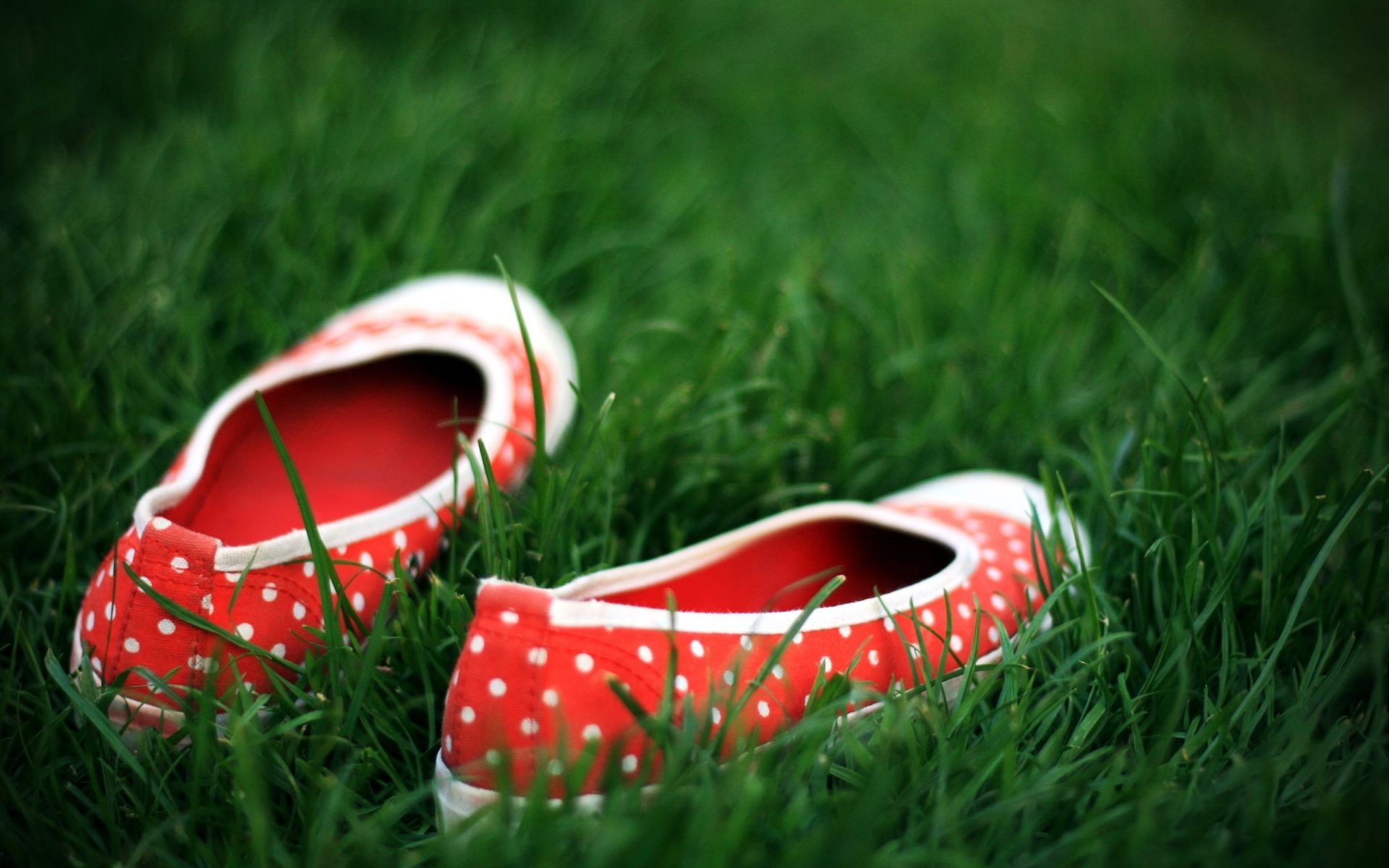 трава лето поле кожа цвет газон отдых обуви на открытом воздухе два сенокос пару природа крупным планом