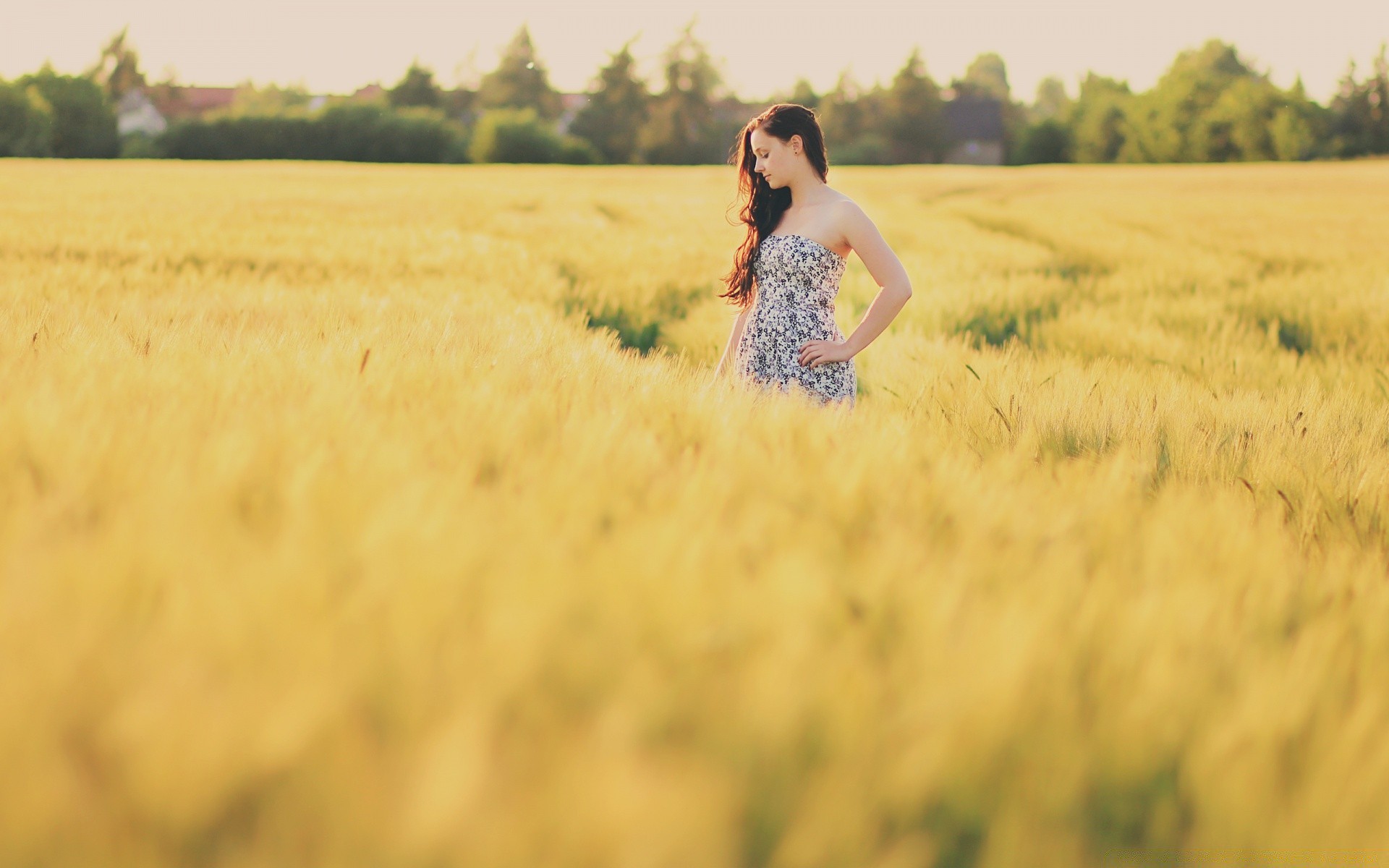 autre fille champ fille coucher de soleil nature été herbe foin soleil blé paysage robe or beau temps à l extérieur bonheur ferme ciel liberté portrait femme