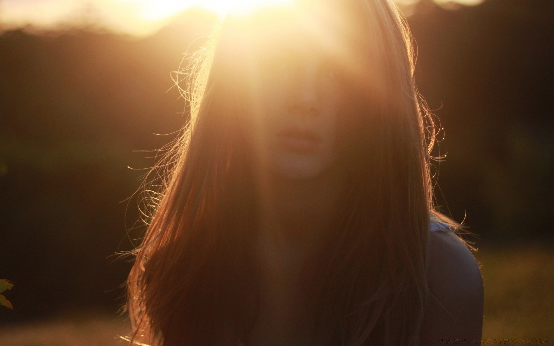 the other girls sunset sun nature dawn fair weather light blur sky outdoors summer