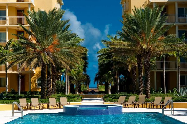 Hotel. Swimming pool. Palm trees. Deck chairs. The sun. Vacation