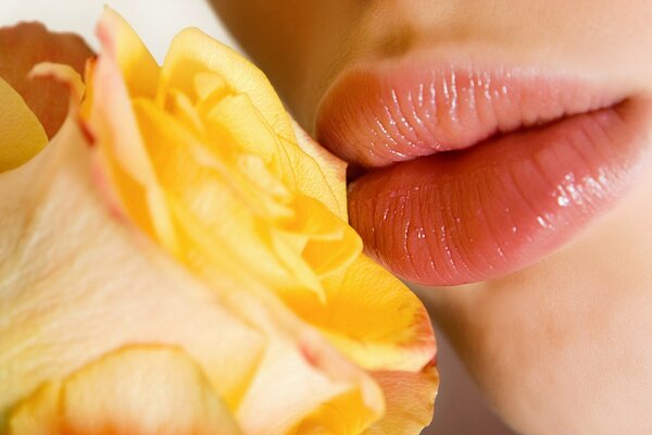 Yellow rose. Portrait. Lips