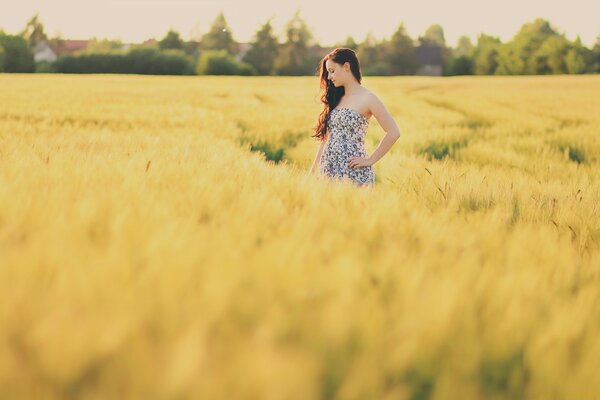 Ragazza nel campo giallo