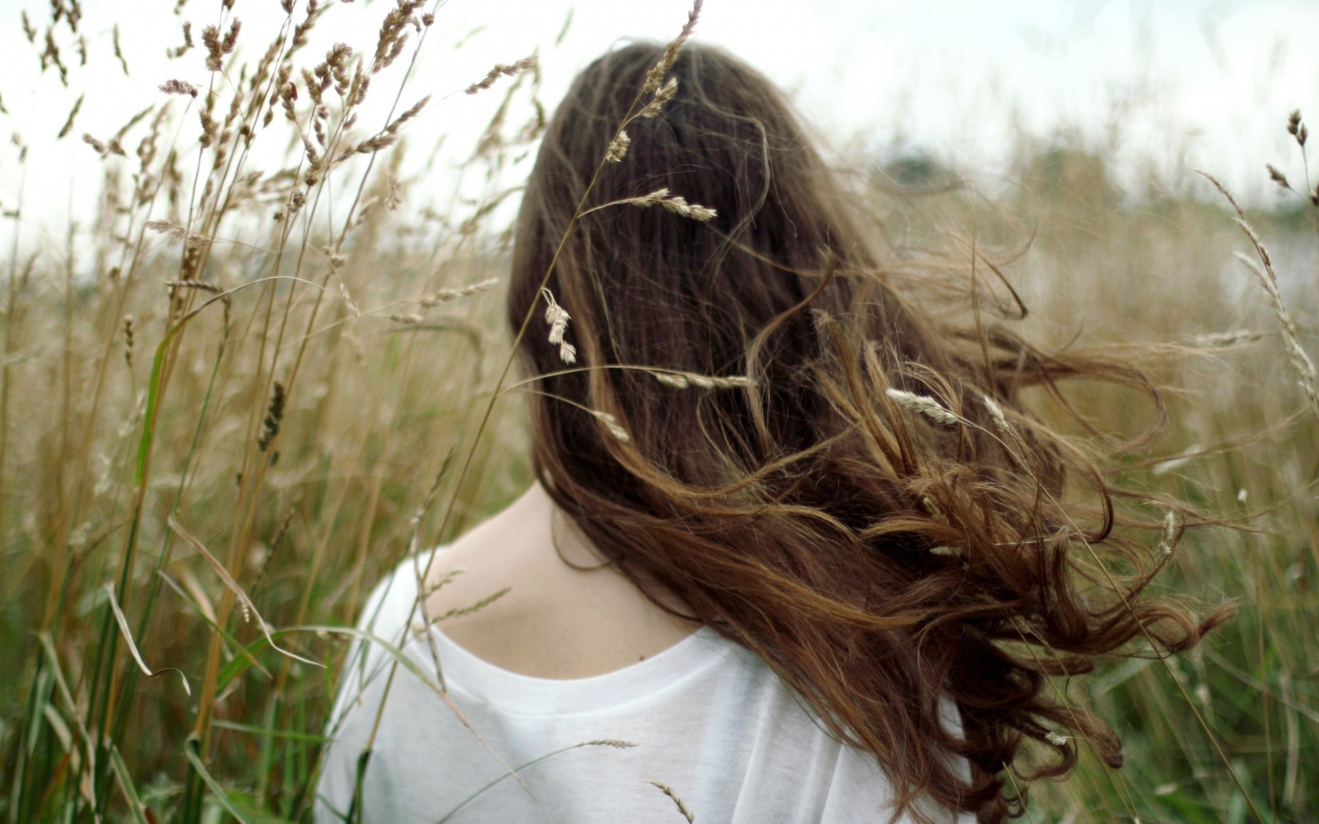 otras chicas naturaleza hierba campo hermoso pelo chica verano retrato al aire libre sol otoño mujer cara heno viento sonrisa buen tiempo