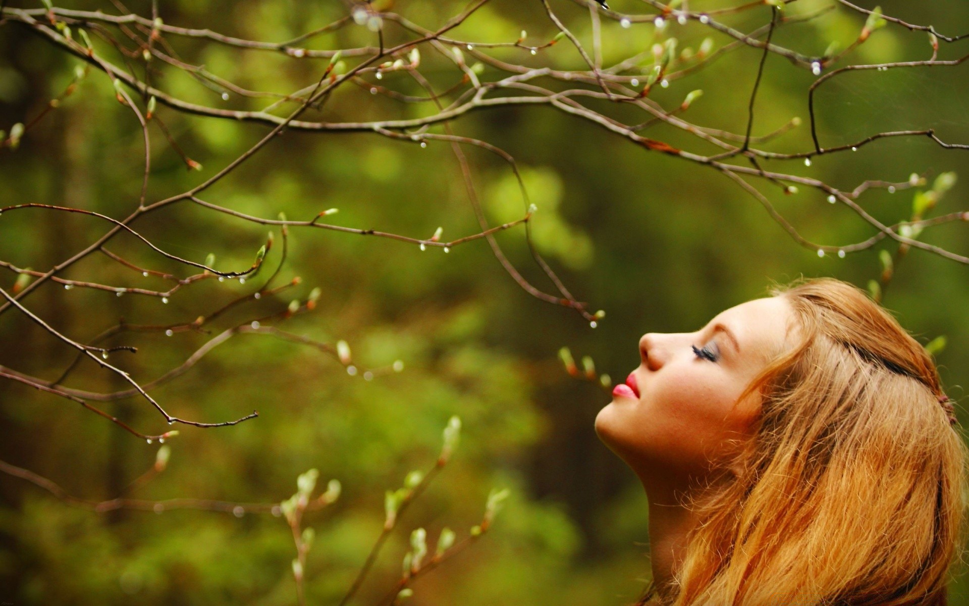 otras chicas naturaleza al aire libre chica otoño árbol parque madera retrato sol hermoso verano buen tiempo