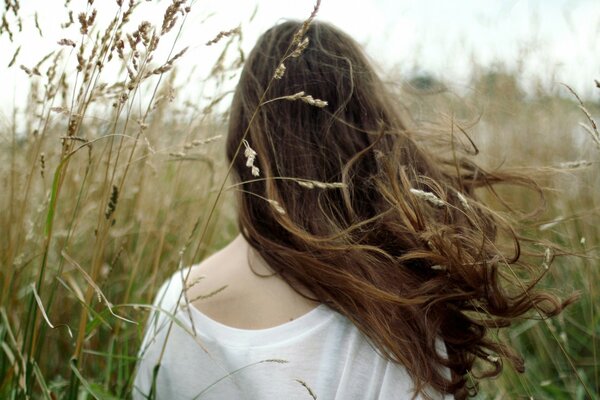 Photo of a girl in a field