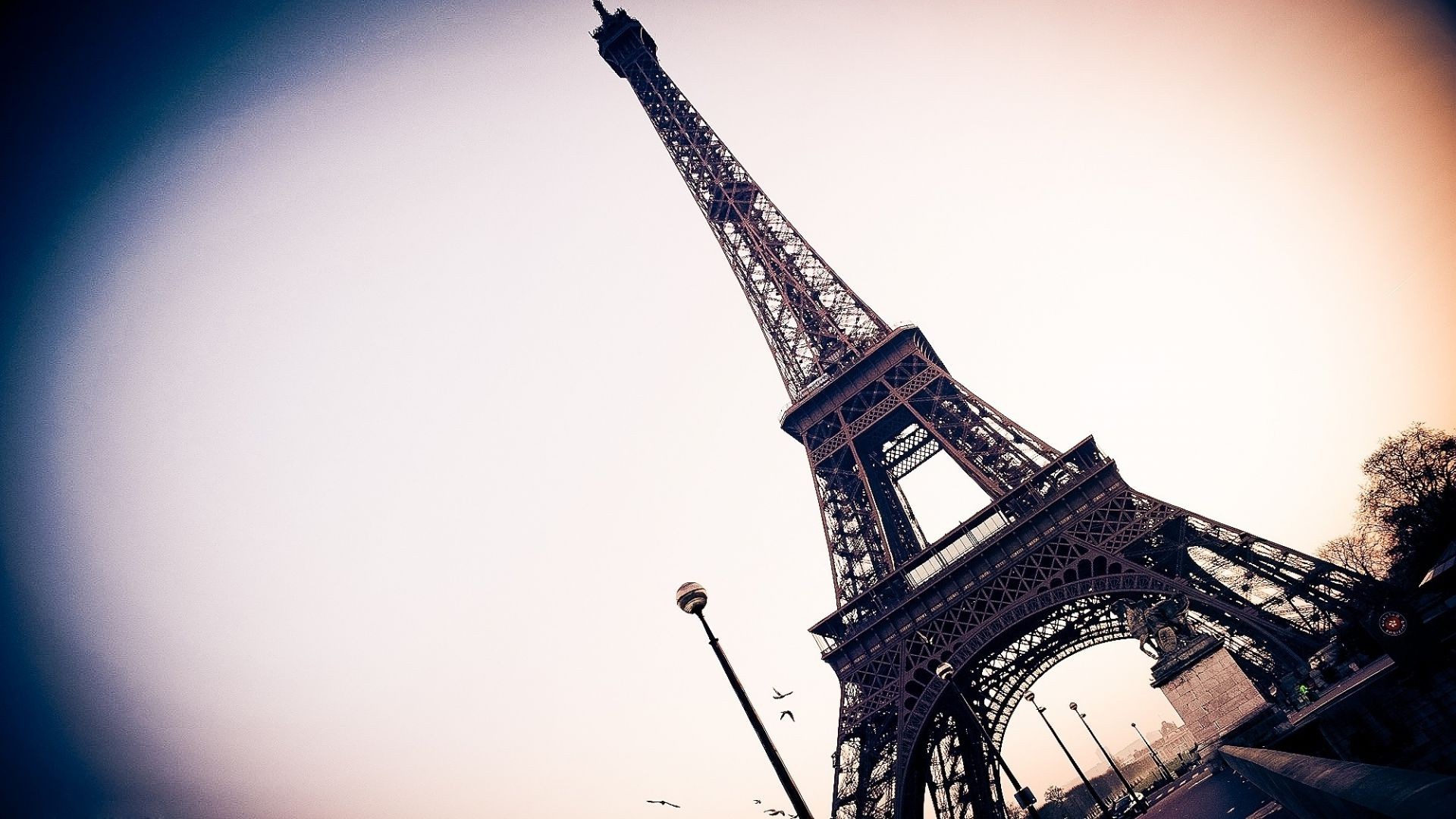 париж франция вид с эйфелевой башни бесплатно